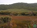 thn_steward island 009.jpg